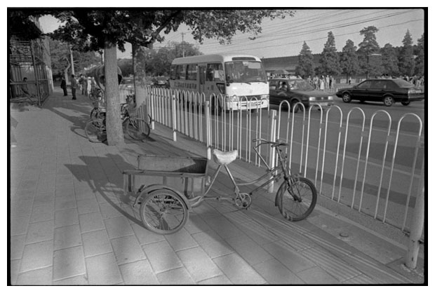 Trike