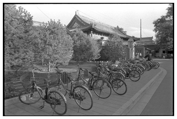 Cycles
