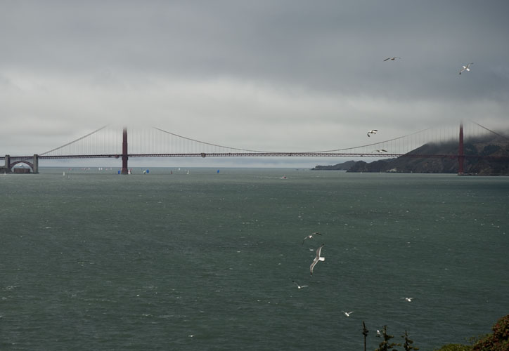 20090731_0251