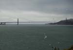 20090731_0251
