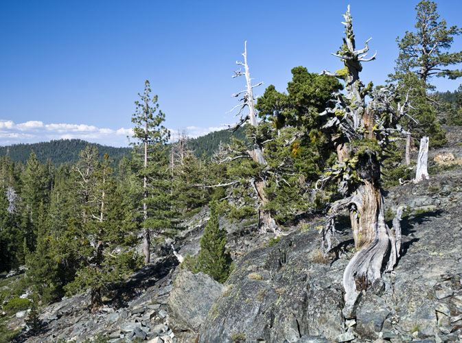 20090727_0042