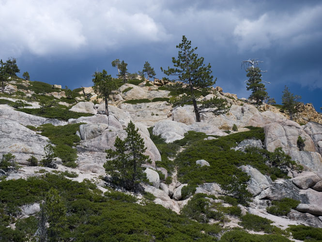 20090728_0017