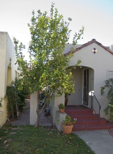 20101113_0060