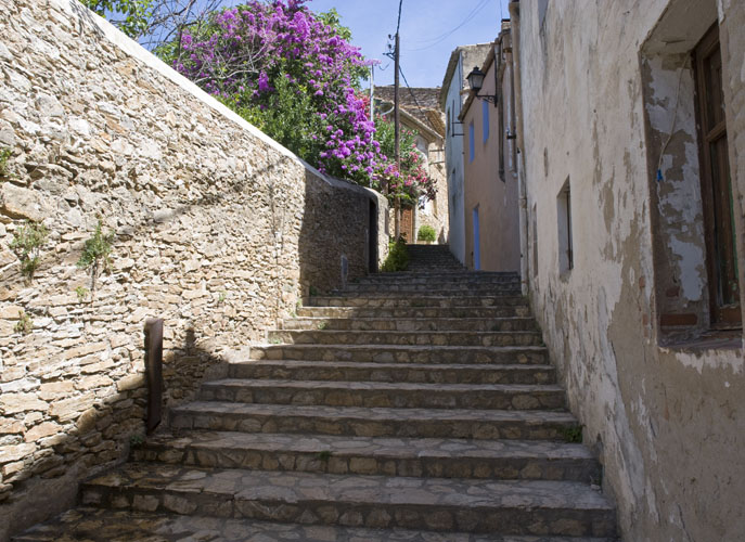 20100725_0106