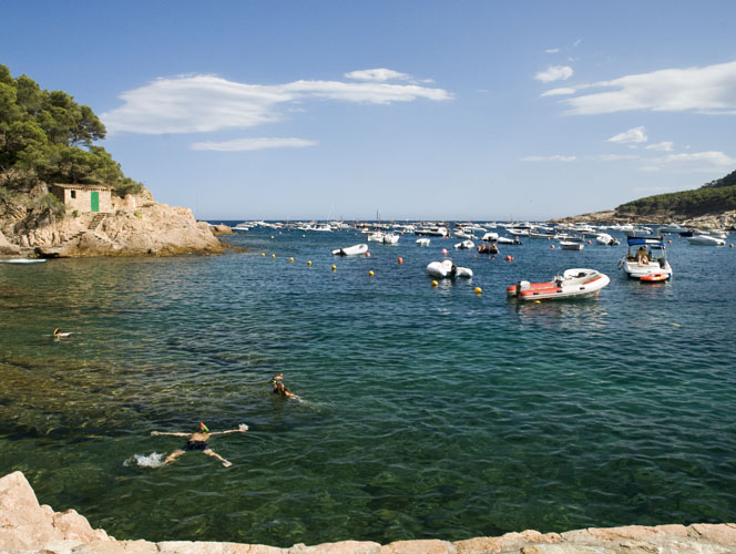 20100726_0094