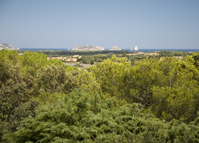 20100727_0071