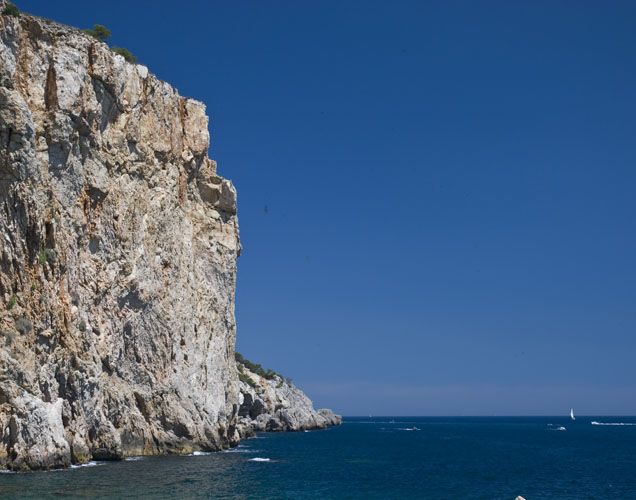 20100728_0028