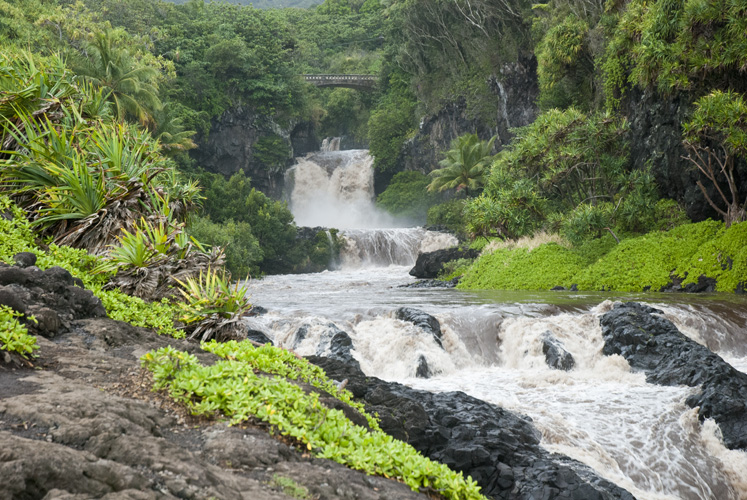 20111214_0054
