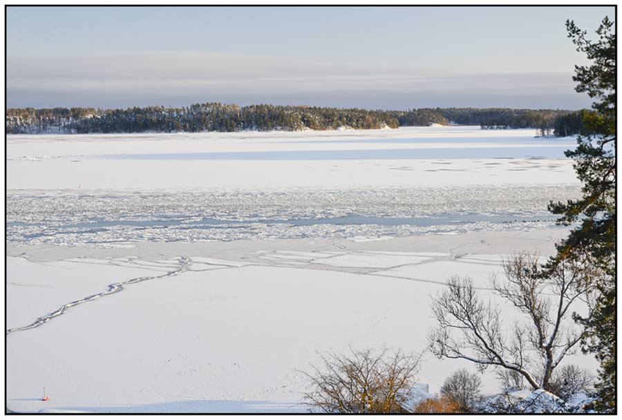 Björnhuvud