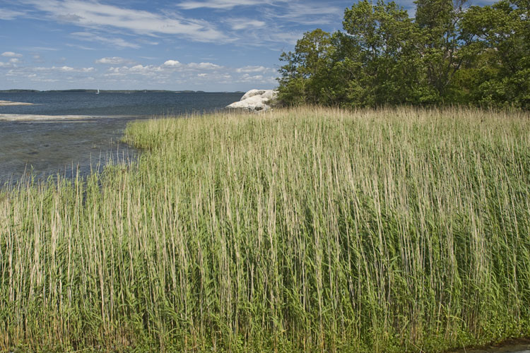 20080621_0021