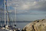 20080620_0037