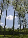 20090531_0132