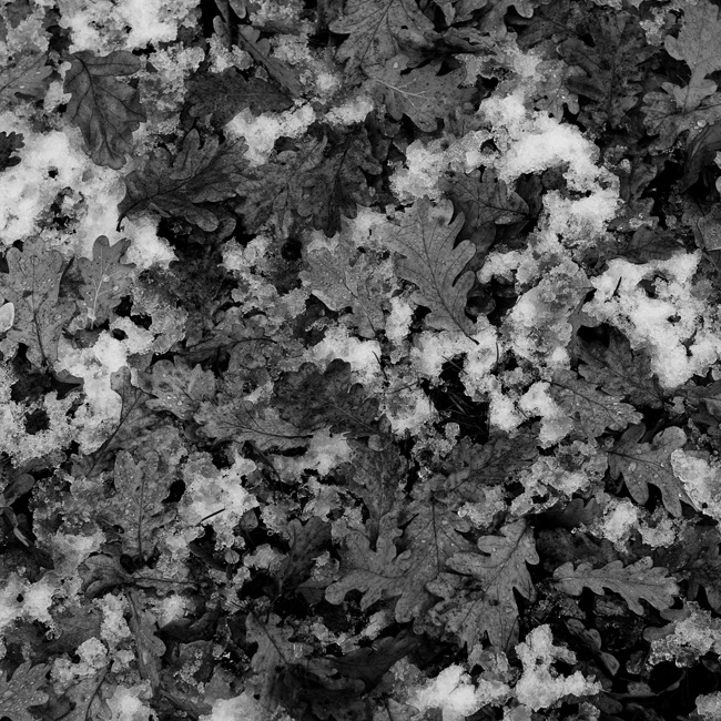 20101023_0001