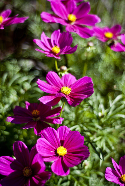 20110813_0019