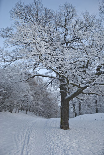 20100101_0008