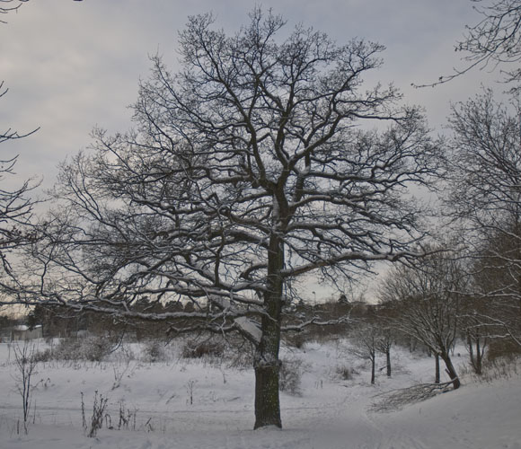 20100105_0022