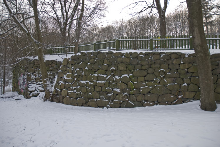 20100105_0024