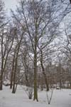20100105_0021