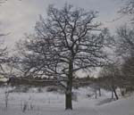 20100105_0022