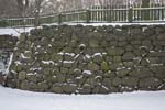 20100105_0025